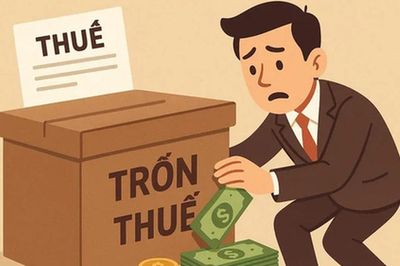 Mức xử phạt mới nhất về hành vi trốn thuế