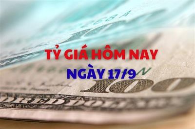 Tỷ giá hôm nay 17/9: Fed tăng lãi suất, giá USD trong nước đồng loạt tăng