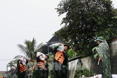 Báo động III trên sông Tích, sông Bùi, thành phố Hà Nội khẩn trương ứng phó với lũ