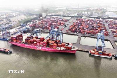 TP. Hồ Chí Minh nâng cao năng lực hệ thống cảng biển: Từ kết nối đến cảng xanh