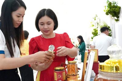 Từ người khởi nghiệp đến 'cố vấn khởi nghiệp'