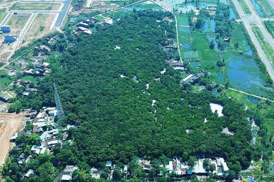 Gần 399 tỷ đồng đầu tư hệ thống hạ tầng kỹ thuật và giao thông Khu di tích Đồi Trung Sơn