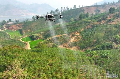 Mở hướng cho nông nghiệp Điện Biên