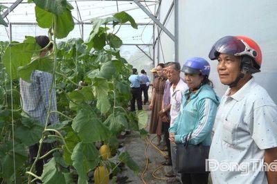 Phổ biến kiến thức ứng dụng công nghệ cao trong nông nghiệp