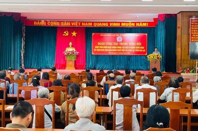 Đoàn công tác Trung ương Hội Nạn nhân chất độc da cam/dioxin Việt Nam làm việc tại Gia Lai