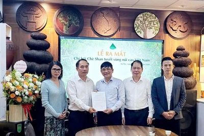 Ra mắt Chi hội Chè Shan tuyết vùng núi cao Việt Nam