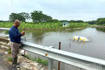 Nuôi thủy sản ứng dụng công nghệ gia tăng giá trị