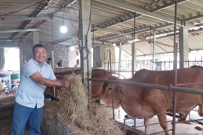 Làm giàu từ đất đồi