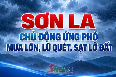Sơn La chủ động ứng phó mưa lớn, lũ quét, sạt lở đất