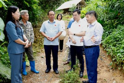 Khảo sát các tuyến đường được đề nghị cải tạo, nâng cấptại Dân Tiến và Tràng Xá