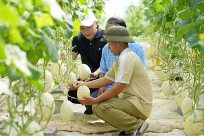 Phát triển Đảng trong hội viên nông dân: Gỡ khó để 'ươm mầm'