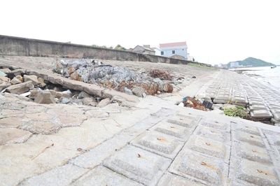 Tăng sức chống chịu cho đê biển Hà Tĩnh trước thiên tai