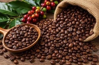 Ngày 17/9: Giá cà phê đảo chiều giảm mạnh, hồ tiêu ở mốc 141.000 đồng/kg
