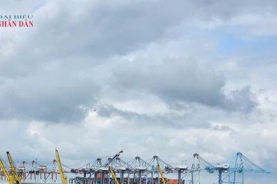 TP. Hồ Chí Minh: Triển khai các nội dung của Hệ sinh thái tận dụng các Hiệp định thương mại tự do
