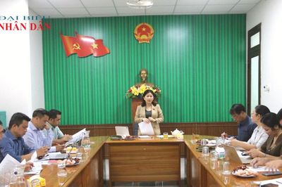 Đoàn ĐBQH tỉnh Đắk Lắk giám sát việc quản lý, sử dụng tài sản công tại xã Krông Ana