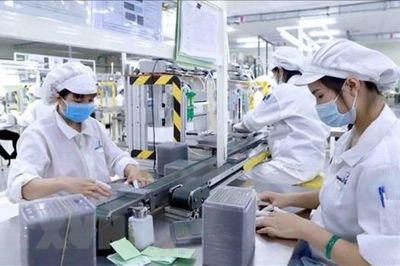 Doanh nghiệp Việt tăng tham gia chuỗi cung ứng FDI