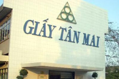Thanh tra Chính phủ chỉ ra loạt sai phạm tại Tập đoàn Tân Mai