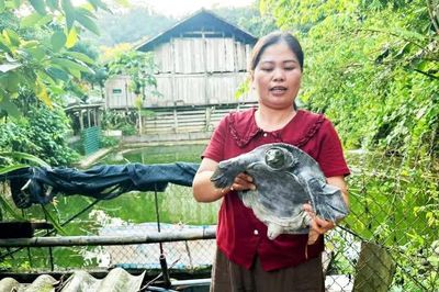 Nữ giám đốc hợp tác xã dám nghĩ, dám làm