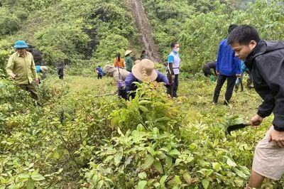 Phối hợp phát quang đường thông tầm nhìn biên giới tại xã Đàm Thủy
