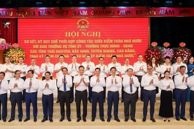 Kiểm toán không chỉ để phát hiện sai phạm