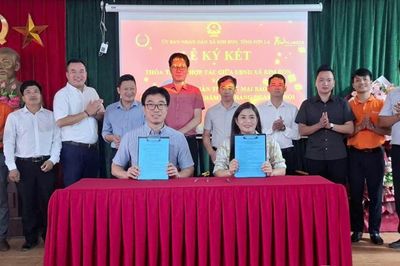 Tăng cường hiệu quả chính sách bảo hiểm thất nghiệp, tạo đòn bẩy an sinh cho người lao động