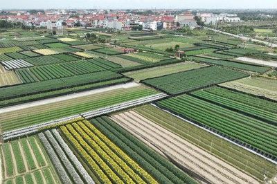 Hà Nội: Bãi bỏ quy trình nội bộ, quy trình điện tử giải quyết nhiều thủ tục hành chính lĩnh vực đất đai