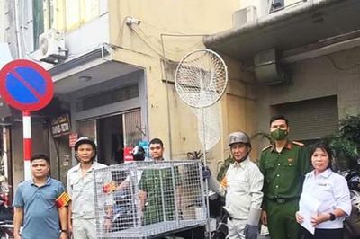 Nuôi 'thú cưng' phải đi cùng trách nhiệm