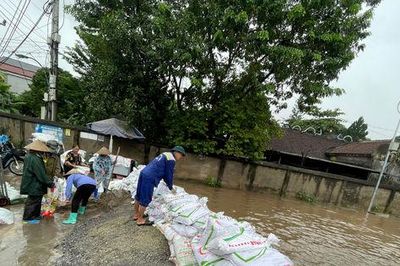 Chủ động ứng phó mưa lũ, bảo đảm an toàn vùng ven sông Đáy