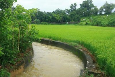 Nâng mức hỗ trợ phí bảo hiểm nông nghiệp lên tối đa 95%