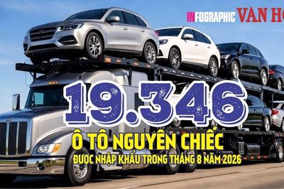 19.346 ô tô nhập khẩu tháng 8: Lượng xe bất ngờ giảm 30,1%