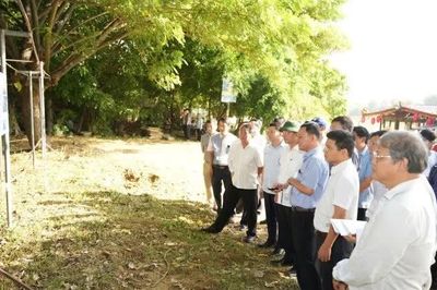 Huế tập trung xử lý các tồn đọng tại dự án Kinh thành, Cồn Hến và Khu đô thị Đại học