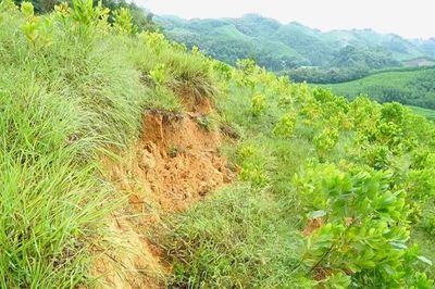 Thanh Hóa: Xuất hiện vết nứt trên đồi, sơ tán khẩn cấp 14 hộ dân