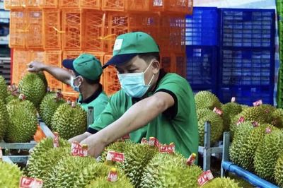 [VIDEO] Bộ Nông nghiệp đặt mục tiêu 4 tỉ USD cho sầu riêng khi Ấn Độ mở cửa