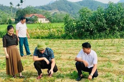 Tạo nền tảng giảm nghèo bền vững ở xã vùng biên ở Hà Tĩnh