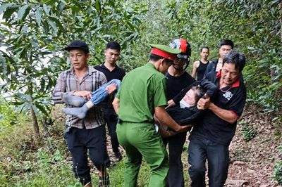 Dẫm phải tổ ong vò vẽ khi vào rừng tìm nấm