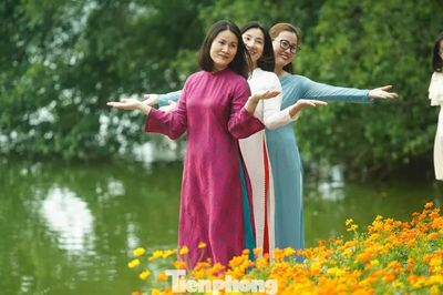 Thời tiết miền Bắc những ngày tới