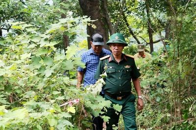 Hé lộ 2 vị trí nghi có mộ tập thể 25 liệt sĩ ở Hải Vân