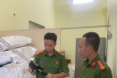 173 đối tượng liên quan vũ khí, pháo bị xử lý