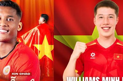 Hai tân binh Việt kiều tuyển Việt Nam là ai?