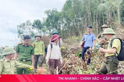 Xem xét xử lý người phụ nữ có dấu hiệu hủy hoại hơn 1,1ha rừng ở Hương Khê