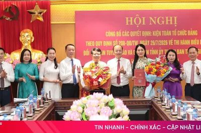 Hà Tĩnh công bố các quyết định thành lập 2 Đảng bộ, kiện toàn tổ chức Đảng
