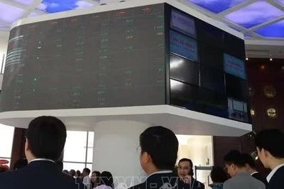 Những bước đi của Việt Nam để tận dụng cơ hội từ thị trường mới nổi