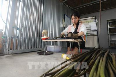 Từ sợi tơ sen, dệt nên câu chuyện mới ở Đồng Tháp