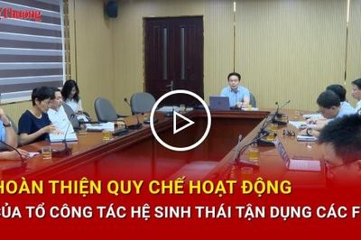 Hoàn thiện Quy chế hoạt động Tổ công tác Hệ sinh thái tận dụng các FTA