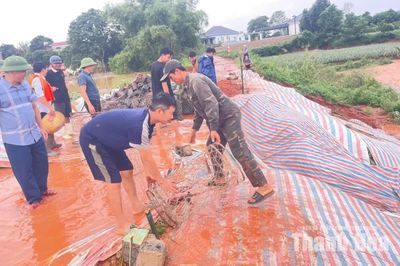 Xã Xuân Tín tập trung khắc phục tình trạng sạt lở mái đê khi nước sông Cầu Chày bắt đầu rút