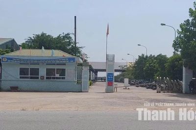 Khó khăn trong xử lý hình sự đơn vị trốn đóng bảo hiểm xã hội