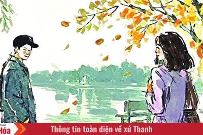 Hoa, nắng, lá rụng, gió đông tan