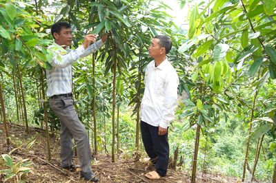 Đề án 79 - Kiến tạo cuộc sống mới nơi biên cương