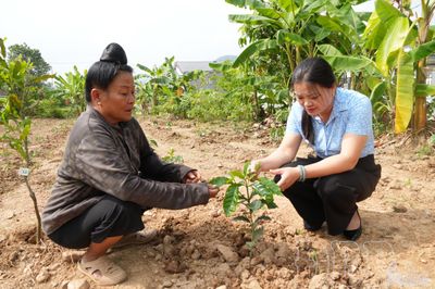 'Khoảng trống' phía sau những bước chân rời bản (bài 2)
