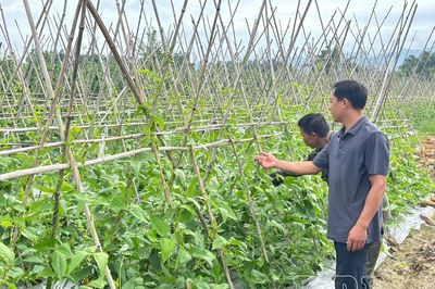 Tiếp sức cho nông dân Điện Biên